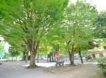 GCP-JP3755-7