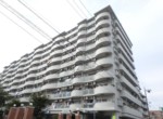 GCP-JP6544-2