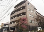 GCP-JP6663-5
