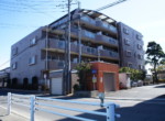 SONY DSC