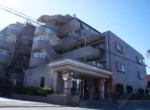 SONY DSC