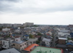 SONY DSC