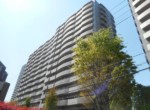 GCP-JP7707-1