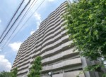 GCP-JP7707-3