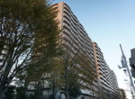 GCP-JP7707-4