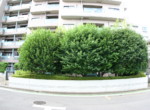 GCP-JP7773-11