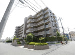 GCP-JP7950-1