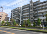 GCP-JP7976-3
