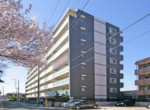GCP-JP7976-6