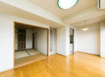 GCP-JP8065-15